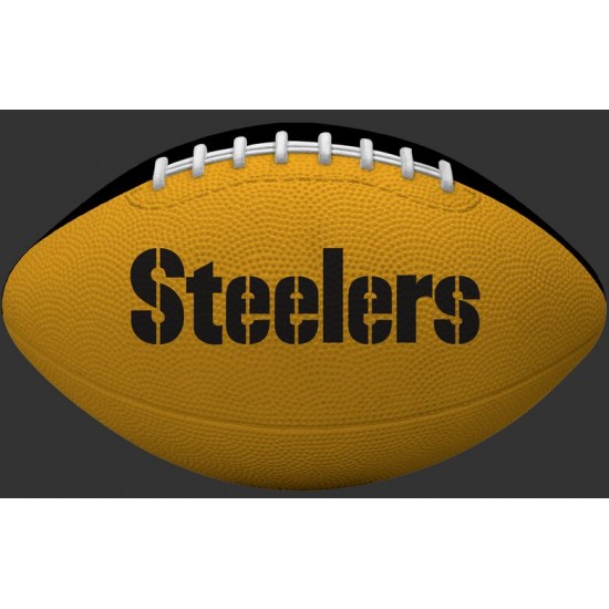 Limited Edition ☆☆☆ NFL Pittsburgh Steelers Gridiron Football